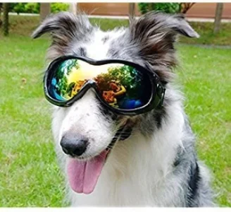 1-dog-goggles-sunglass-good-for-pups-adults-dogs-birds-park-original-imaf3g4y6qgwrhyf