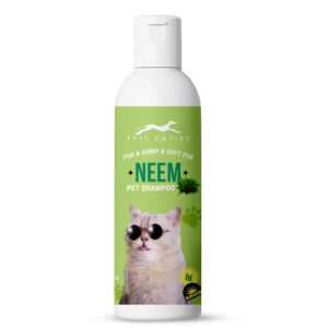 510kLmrDCwL._SL1440_