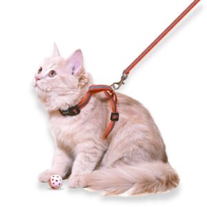 51LVUH7xNhL._SL1000_