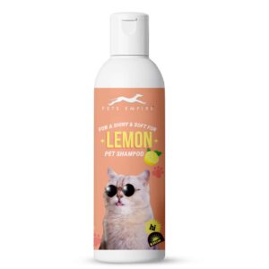 51pZVKQfdEL._SL1440_