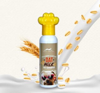 71Z2LdcSK8L._SL1500_