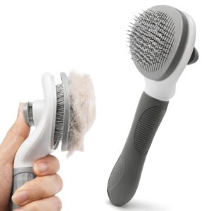 71izJ4KcfxL._SL1500_