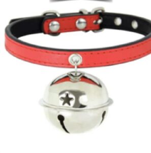 WhatsApp Image 2026-04-01 at 6.29.23 PM