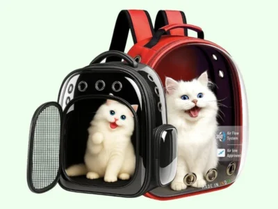 best-pets-carrier-bags-for-travel-in-india-complete-guide-for-pet-parent-1342115