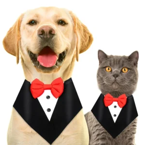 dog-bandana-tie-bow-5884553