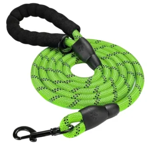 imported-padded-braided-leash-500x500