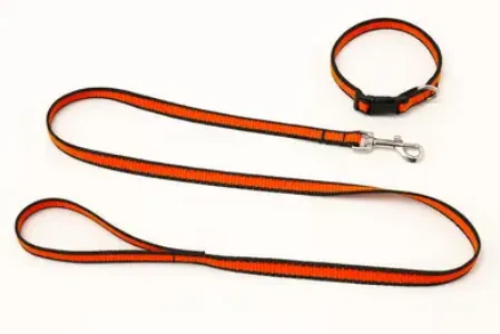 small-124466-petra-original-imahdmzhyw6hnyag