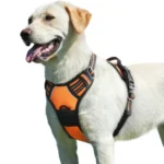 DOG FULL BODY HARNESS