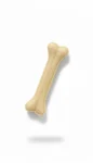 BONES 1 PC
