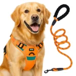 NO PULL VEST PREMIUM HARNESS