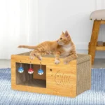 SCRATCH PAD AND PLAY BALL