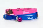 CAT SILICONE COLLAR