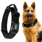 TACTICAL DOG COLLAR