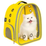 TRANSPARENT CAT BAG